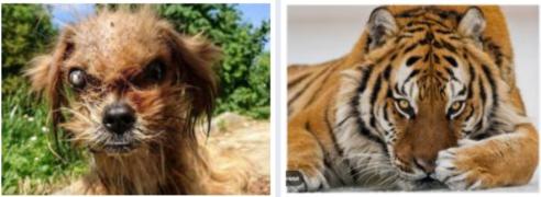 Screenshot_20240605-110938_Samsung Internet.jpg