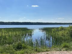 IMG_3325.jpeg