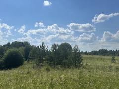 IMG_3352.jpeg