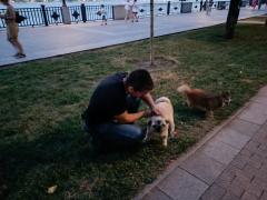 IMG-20240712-WA0003.jpg