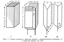 перистая мышца.jpg