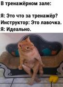 тренажёрный-зал-Лавочка-котэ-8990529.jpeg