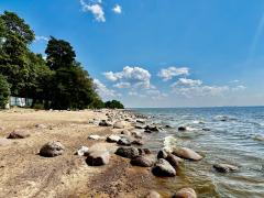 IMG_3094.jpeg