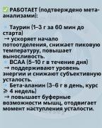 IMG_3482.jpeg