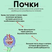 RcVpgX2TsqYKvcBsngR1FBW0GkpA4Zzx4hfmgzdoJYZ5V0qZo-UZWh8Wh1a1BziQbAT5GWMtxx2frZQ8.jpg