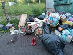 IMG_20260727_185059.jpg