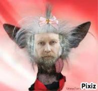 pixiz-13-07-2026-15-35-02.jpg