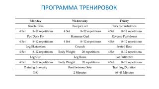 IMG_4007.jpeg