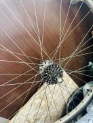 IMG_5444.jpeg
