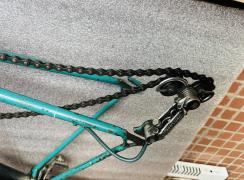 IMG_5446.jpeg