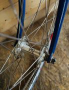 IMG_5491.jpeg