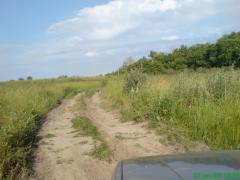 DSC00294.JPG