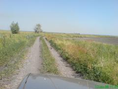DSC00310.JPG