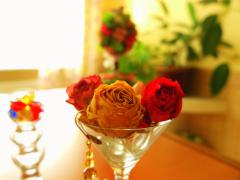_822130425_resize.JPG