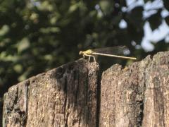 IMG_3059.JPG