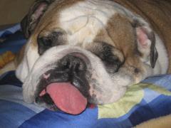 IMG_1210.JPG