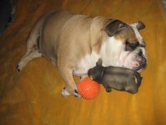 IMG_2683.JPG
