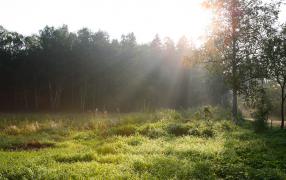 2805689_large.jpg