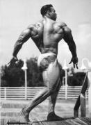 Levrone3.jpg