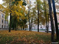 87055_2_f.jpg
