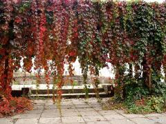 87062_2_f.jpg