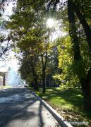 apic_1443.jpg