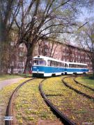 6254_1_f.jpg
