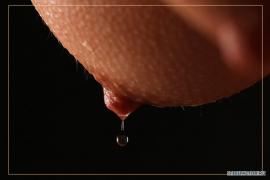 x_74978d74.jpg