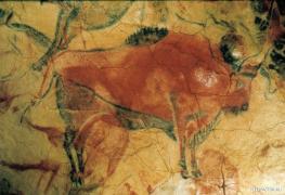 altamira_bison.jpg