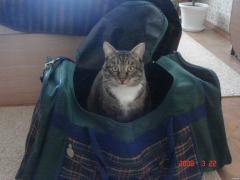 DSC02776.JPG