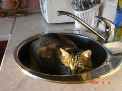 DSC02854.JPG