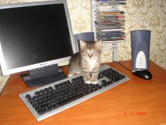 DSC00301.JPG