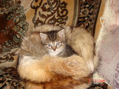 DSC00306.JPG