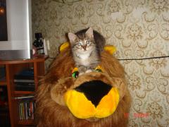 DSC00344.JPG