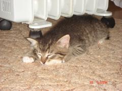 DSC00347.JPG