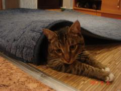 DSC02156.JPG