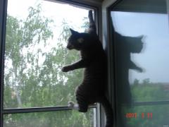 200507_057.jpg