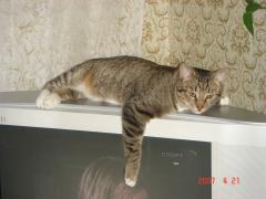 сыктывкар_083.jpg