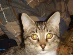 DSC00890.JPG