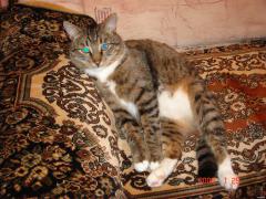 DSC02564.JPG