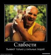 1281358852_297925_slabosti.jpg