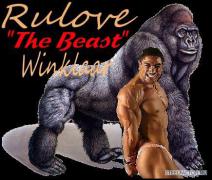 thebeast_1_.jpg