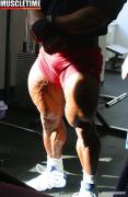 mustafa_legs02_20100801_2029016449.jpg