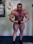 normal_ronny_most_muscular.jpg