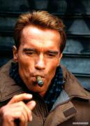 kinopoisk.ru_Arnold_Schwarzenegger_501678.jpg