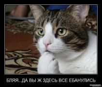 ебанулись.jpg