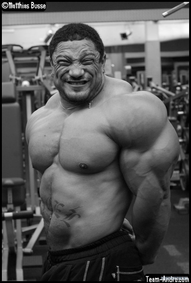 Roelly Winklaar бицепс