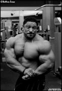 normal_Leg_Day_Ro__.JPG.jpg
