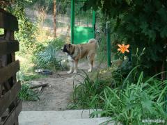 DSC04282.JPG