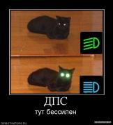 99659_dps.jpg